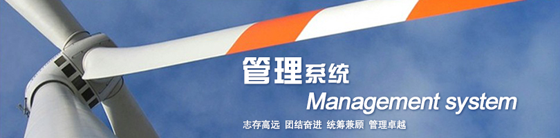 戰(zhàn)略管理